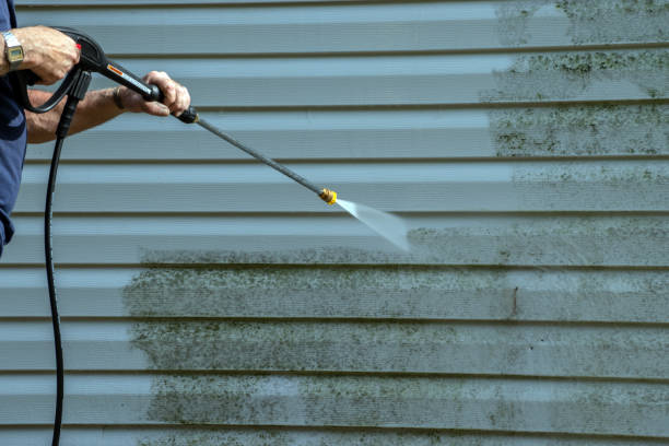 Best Roof Washing  in North Bonneville, WA